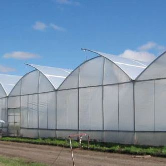 greenhouse (32)